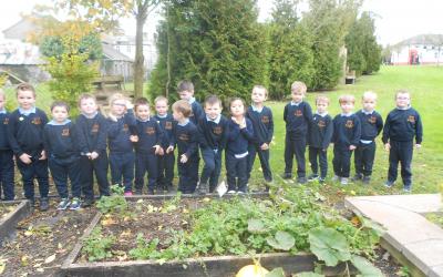 Junior Infants check out the garden.