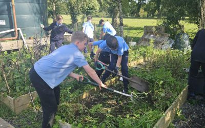 Preparing the Vegetable patch for this years crop