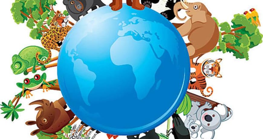 animals-on-the-globe-biodiversity