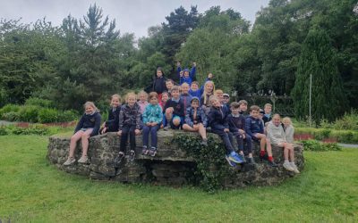 2nd Class Tour to Lullymore