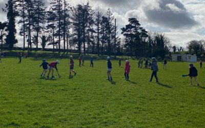 3rd and 4th Class Hurling Blitz, Collinstown