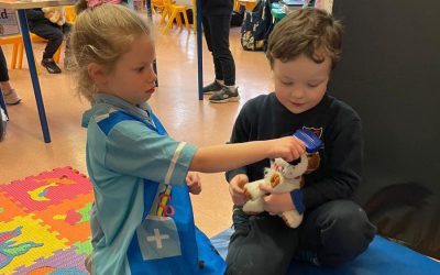 Aistear – The Vets