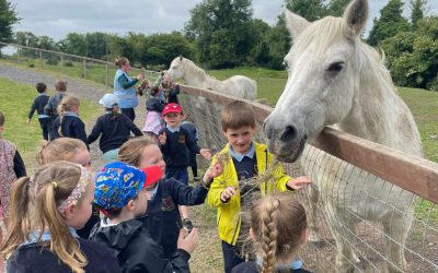 Junior Infants School Tour