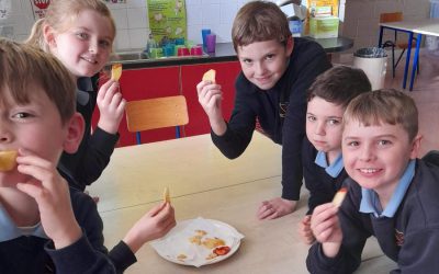 Ms McCormacks Homegrown Chips