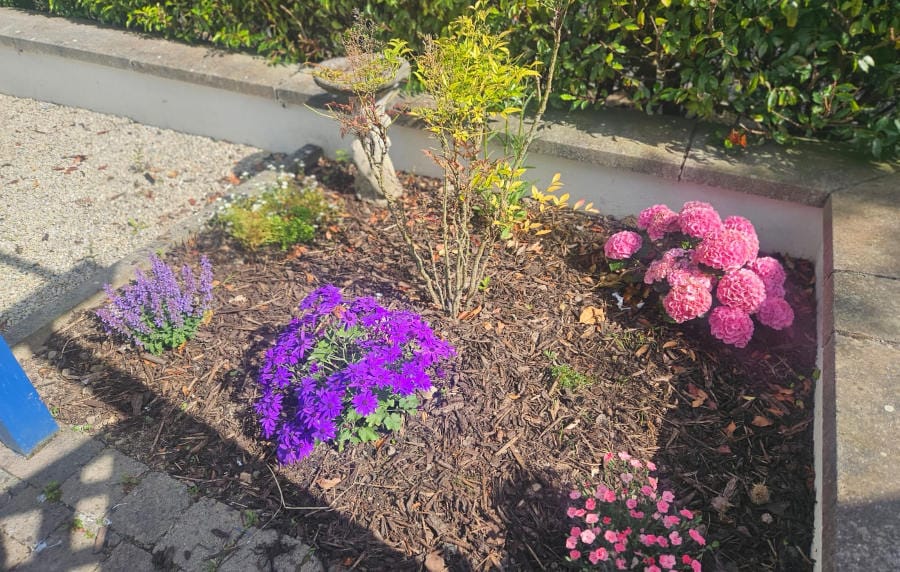 Our new Flowerbeds-featured