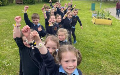 SESE – Exploring Flowers and making Flower bracelets