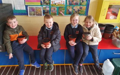 The Garden – Aistear Theme for February