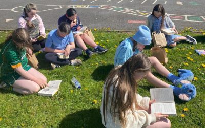 Drop Everything and Read