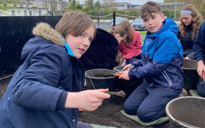 Future Archaeologists (The Big Dig)