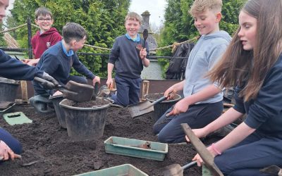 Future Archaeologists from 6th Class (The Big Dig)