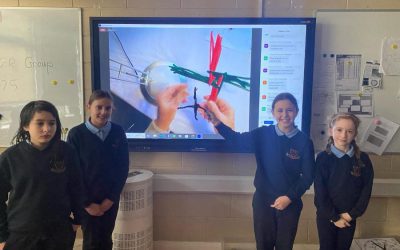 St Brigid’s Day Crosses with a difference from 4th Class