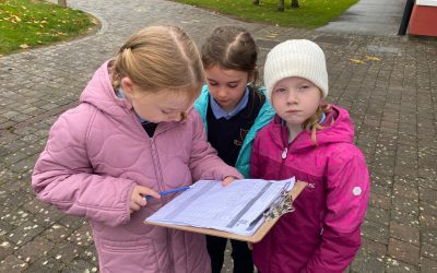 Maths week in 2nd Class