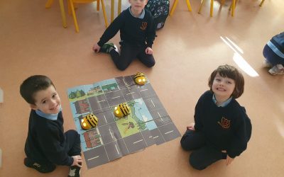 Bee Bots in Junior Infants