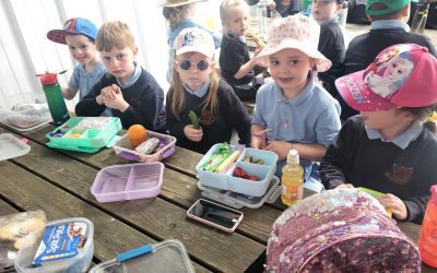 Junior Infants School Tour