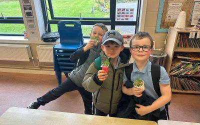 Science in 1st Class