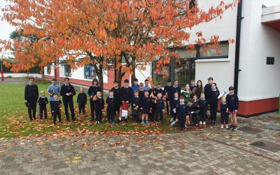 Maths hunt in Junior Infants