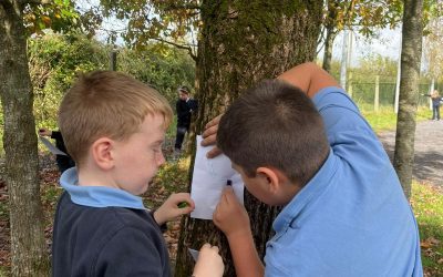 Studying Bark in 2nd Class