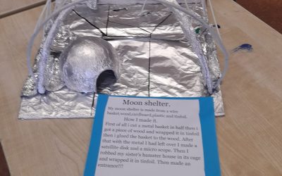 6th Class Moon Shelters
