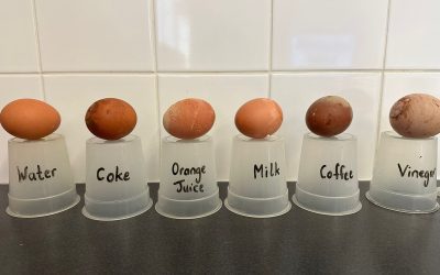 Science week in 1st Class