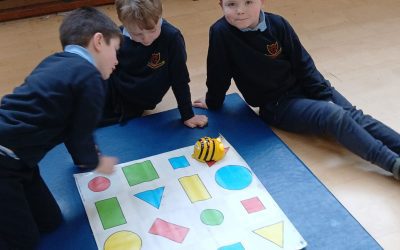Junior Infants enjoying the Beebots!