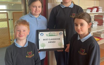 Green School Award for 3rd Class
