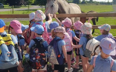 Junior and Senior Infants School Tour