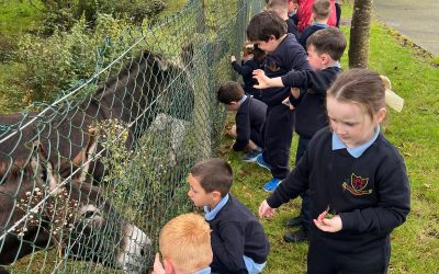 Saying hello to our Neighbours!