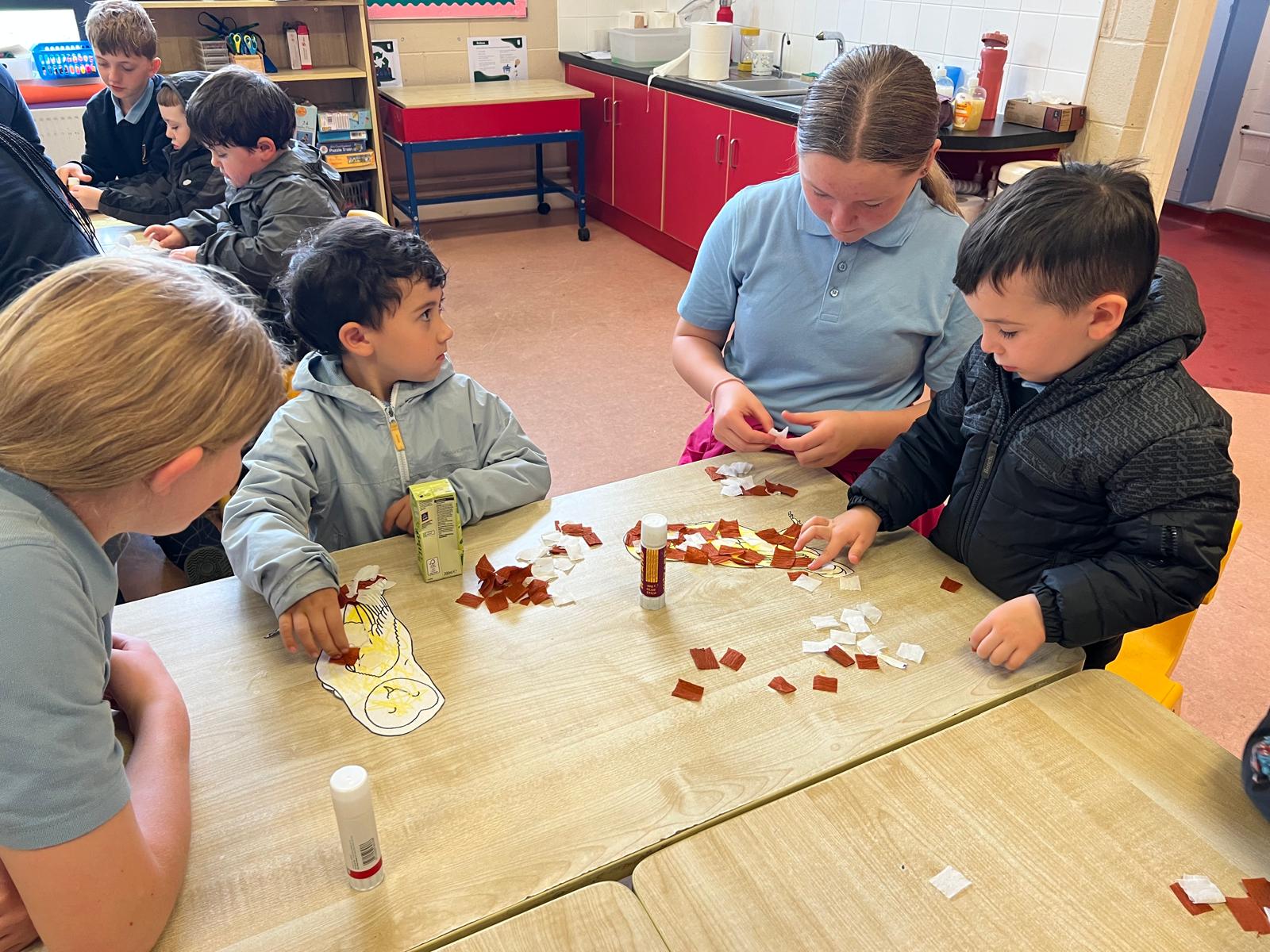Making Owl Babies with 6th Class Buddies