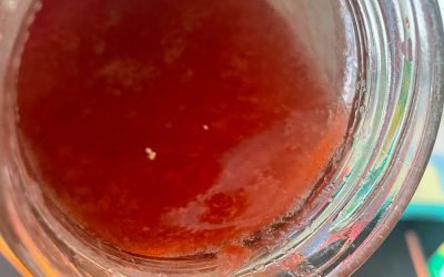Science Experiment : Making Jam